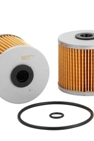 Express Delivery Ryco Fuel Filter - R2432PA