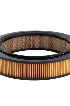 Money Back Guarantee Ryco Air Filter - A325
