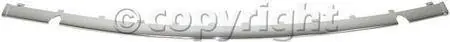 FRONT BUMPER MOLDING Reduced Price