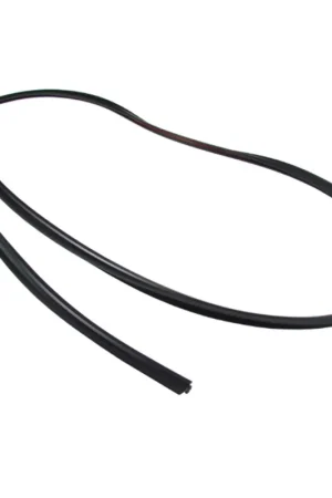 Windshield Weatherstrip Molding for 1995-2002 Suzuki Esteem Sedan 4-Door Exclusive